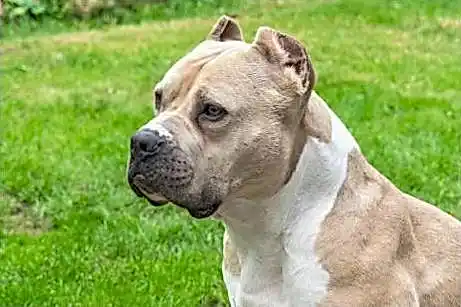 1хСлотс online 0e385f