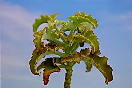 1xSlots сайт 00b7ca